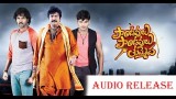 Pandavulu pandavulu thummeda audio launch