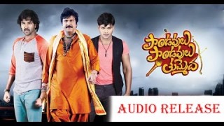 Pandavulu pandavulu thummeda audio launch