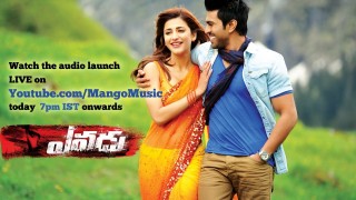 Yevadu audio launch